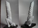 by Luciano Corbellini