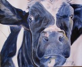 by Michele Vavonese