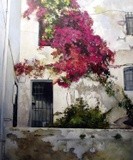 by Tomas Castano