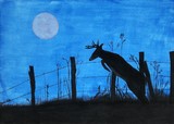 by Barb Alle