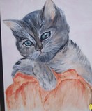 by Pat Schwan