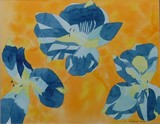 by Sally  Pulford