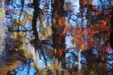 by joe valcourt