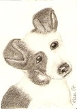 by Maureen Blakeley