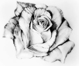 by Agnieszka Henne