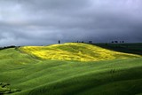 by alessandro galex