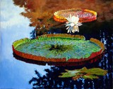 by John Lautermilch