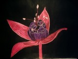 by Jo-Ann Hayden