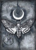 by Deanna Davoli