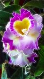 by Bonnie Gearhart