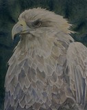 by Angeline Rijkeboer
