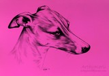 by Kerli Toode