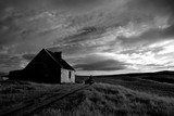 by Ranald Dods