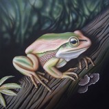 by Dallas Nyberg