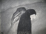 by Anna  Girgis