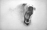 by Lucas Seaward
