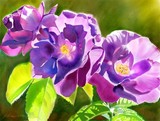 by Joan A Hamilton