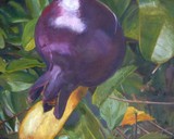 by Kathy Schoeppner