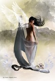 by Crispin Delgado