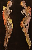 by Sandra Cooper