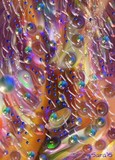 by Sara Deutsch