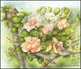 by Jan Howlett