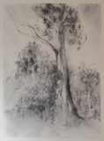 by Di Nickel