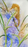 by Dianne Nungesser