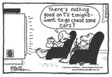 by BOW WOWS & MEOWS