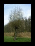 by geert-jan tielen