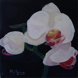 by Fran McLean