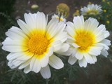 by Vaibhav N