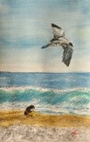 by Joanie Holliday