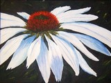 by Tami Booher