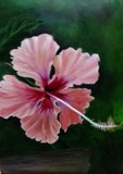 by Rita Benz