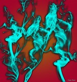 by Clayton Bruster