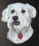 by Diane Kopczeski