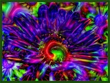 by Phil Aherne