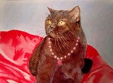by Diane Leuzzi
