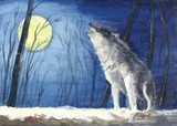 by Ruth Seal