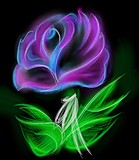 by Vey  