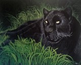 by Demetrius Anglin