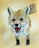 by Linda Becker