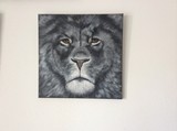by Jayne Roggeband