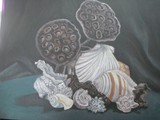 by Amy Masterson