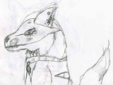 by blumgrl neopets