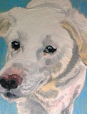 by Sarah Goodrich