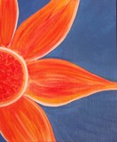 by Amy Williams