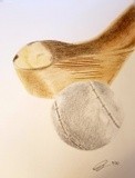 by Angella Reynolds-Screen