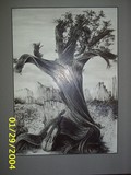 by B King